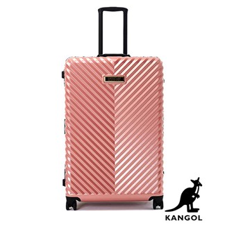DF travel - 英國袋鼠奢華V款立體髮絲紋鋁框28吋行李箱