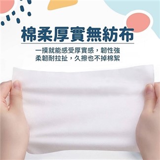 【寢室安居】掀蓋式100%純水加厚濕紙巾 80抽x24包 (箱購)