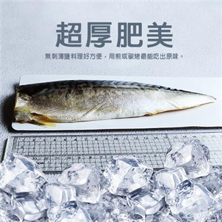 【優鮮配】超大厚片油質豐厚挪威薄鹽鯖魚8片免運組(210g／片)