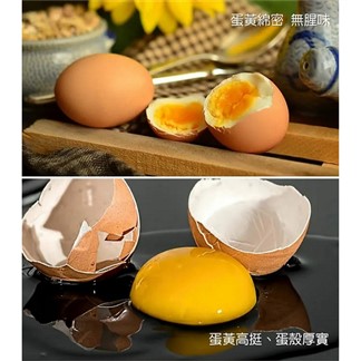《幸福營養紅雞蛋》日本技術大廠 (30入一箱)