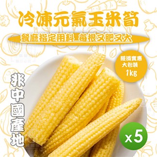 【知名餐廳指定款】冷凍元氣玉米(1000g)*5包