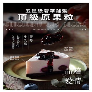 【水母吃乳酪】藍莓生乳酪蛋糕600g(8切)