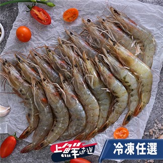 任-【卡馬龍】特大無毒南美洲白晶蝦(一盒500g；約15~20隻)