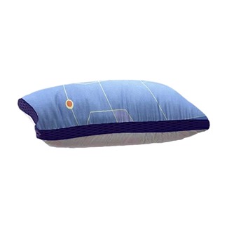 台灣製 石墨烯透氣抗菌舒適健康彈簧枕 枕頭 側睡枕 遠紅外線透氣枕