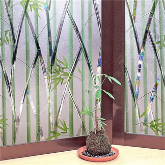 【日本meiwa】抗UV可變色靜電窗貼 (竹林風情92x500公分)
