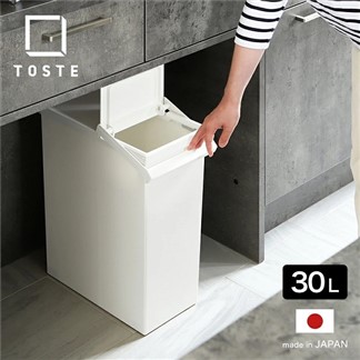 日本RISU TOSTE簡約設計風格按壓雙開型分類垃圾桶 30L
