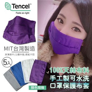 台灣製造100%天絲可水洗口罩保護布套(5入-顏色隨機-口罩收納)