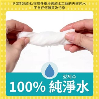 【寢室安居】掀蓋式RO純水加厚濕紙巾 100抽x24包 (箱購)