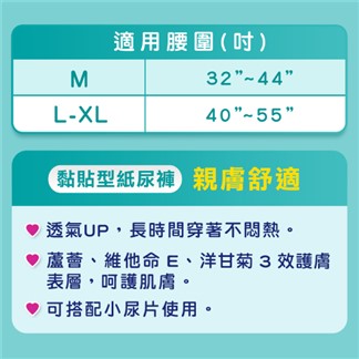 【包大人】成人紙尿褲-親膚舒適 L-XL號 (13片x6包)-箱