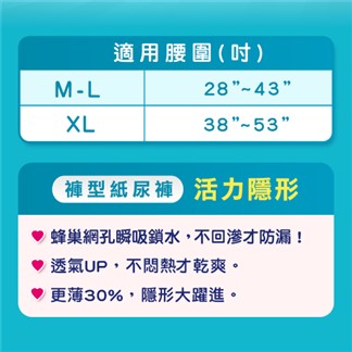 【包大人】活力隱形褲XL(14片x4包-箱)