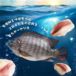 [優鮮配] 特大無CO外銷生食鯛魚清肉片(150-200g／片)-任選