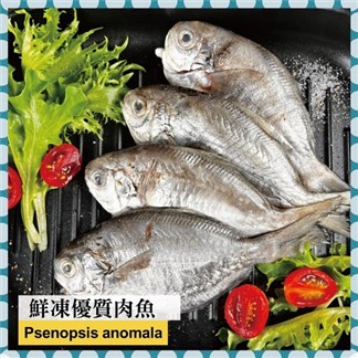 【好神】鮮凍優質肉魚(2尾)5包