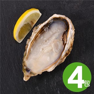 【華得水產】 日本原裝巨大生蠔-全殼牡蠣4包(500g 約2-3粒)