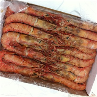 【優鮮配】刺身用-頂級頂級大SIZE天使紅蝦(2kg／原裝盒) 免運組