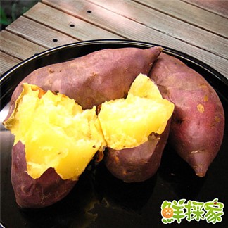 【鮮採家】鮮甜鬆軟栗子地瓜5台斤
