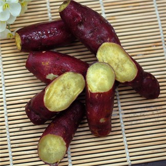 【優鮮配】養身輕食-紫皮栗香黃金地瓜3包(約1kg／包)免運組